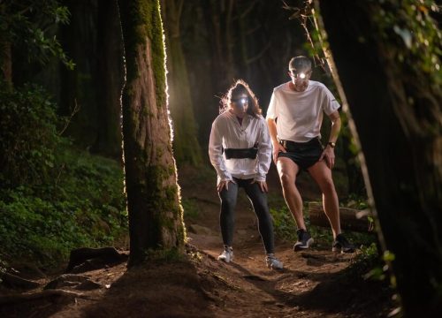 front-view-active-man-woman-walking-forest-night-two-sporty-people-sportive-clothes-spending-time-outdoors-leisure-nature-hobby-concept_74855-24436