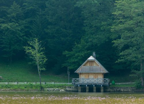 small-hut-near-lake-forest-near-trakoscan-croatia_181624-7674